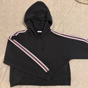 Aritzia Tna Iconic Hoodie